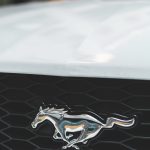 Luxury Designer Haute Couture Collections – Shop discounts