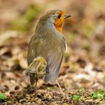 Effective natural skincare remedies for healthy skin – Shop discounts