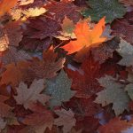 Hidden beauty secrets for natural radiance – Shop discounts