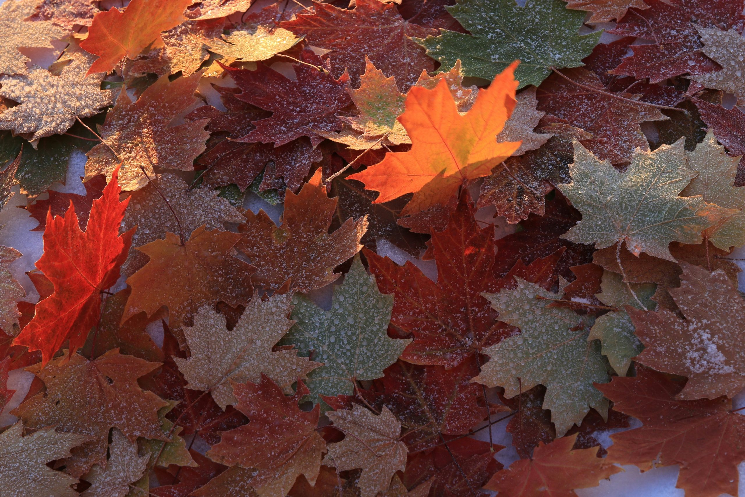 Hidden beauty secrets for natural radiance – Shop discounts