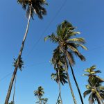 Top Outfit Ideas for Summer Parties in 2025 – Shop discounts