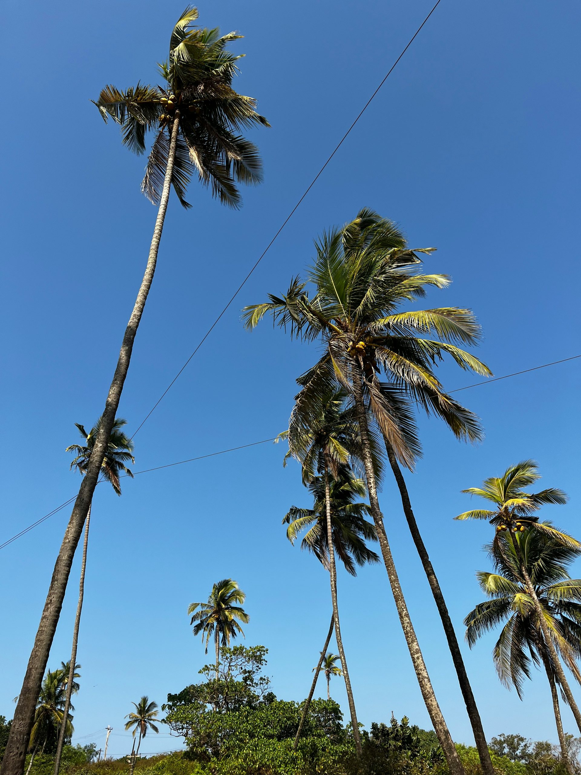 Top Outfit Ideas for Summer Parties in 2025 – Shop discounts