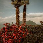 Relaxed and Trendy Outfits for the Summer Season – Shop discounts