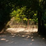 Comfortable and Stylish Summer Outfits for Women – Shop discounts