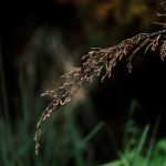 How to achieve radiant skin naturally – Shop discounts