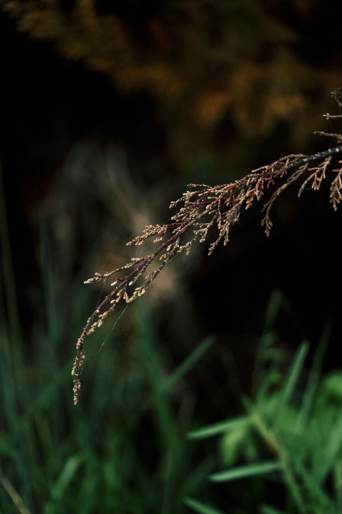 How to achieve radiant skin naturally – Shop discounts