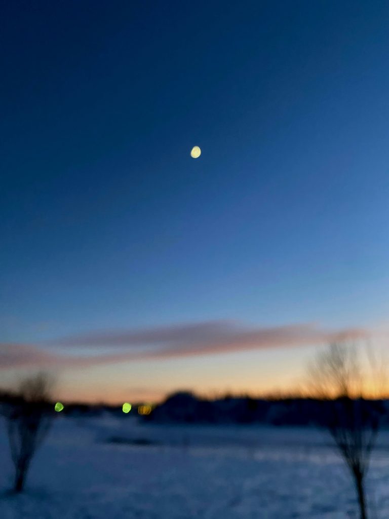 Haute Couture Evening Dresses – Shop discounts