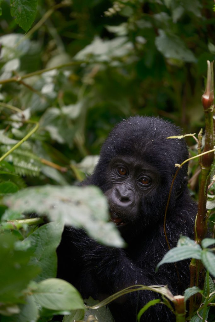 Affordable Luxury Travel Experiences – Shop discounts